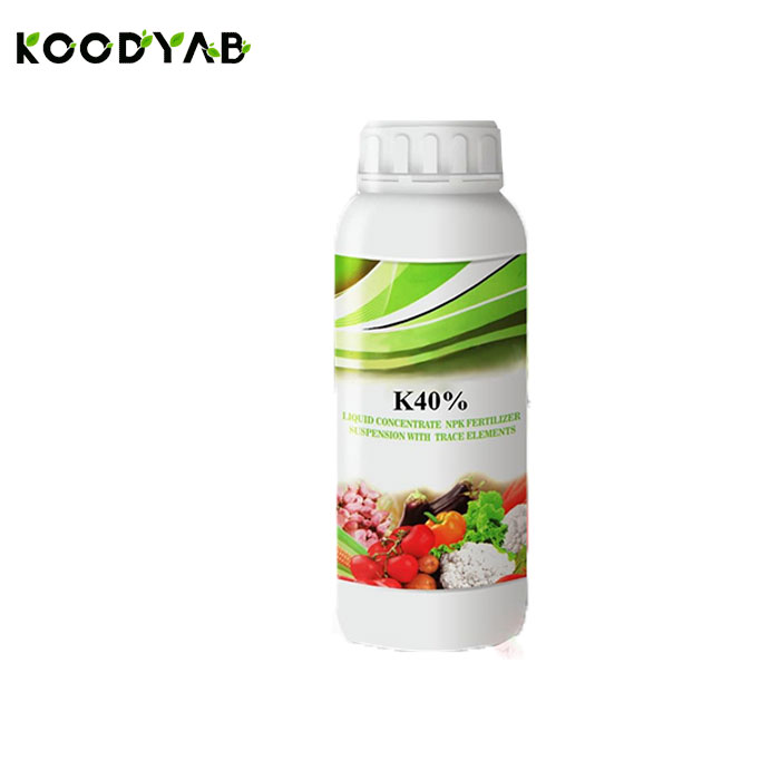 کود پتاسیم بالا رابو