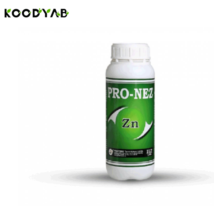 کود پرو نز میثاق