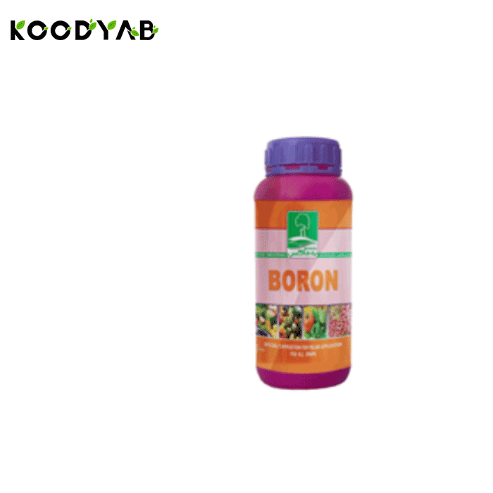 کود بر به ماکس