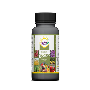 کود بر هورسان