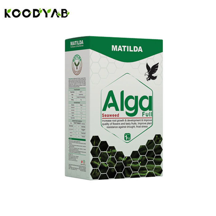 کود جلبک دریایی آلگا ماتیلدا