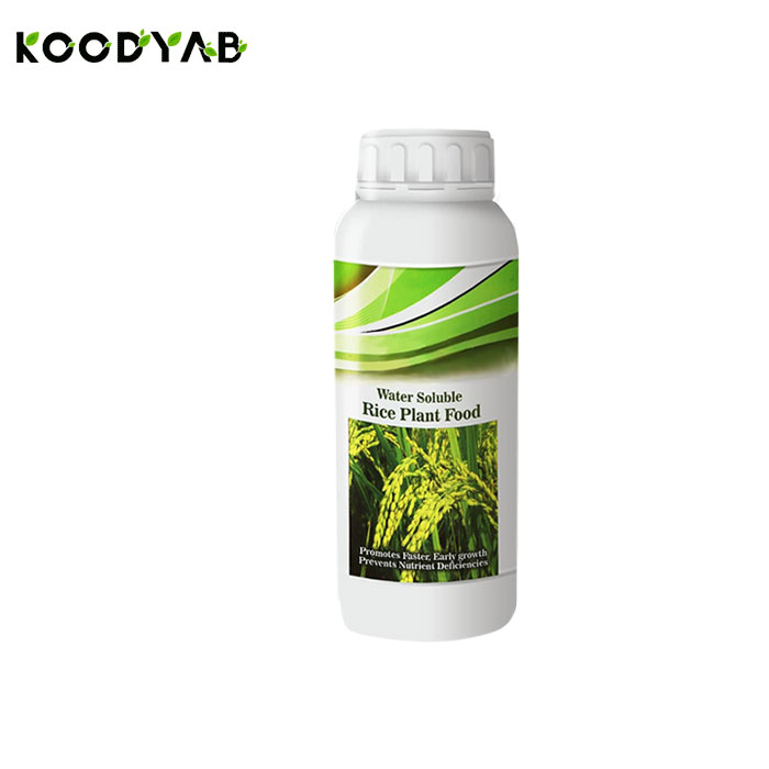 کود ویژه برنج رابو