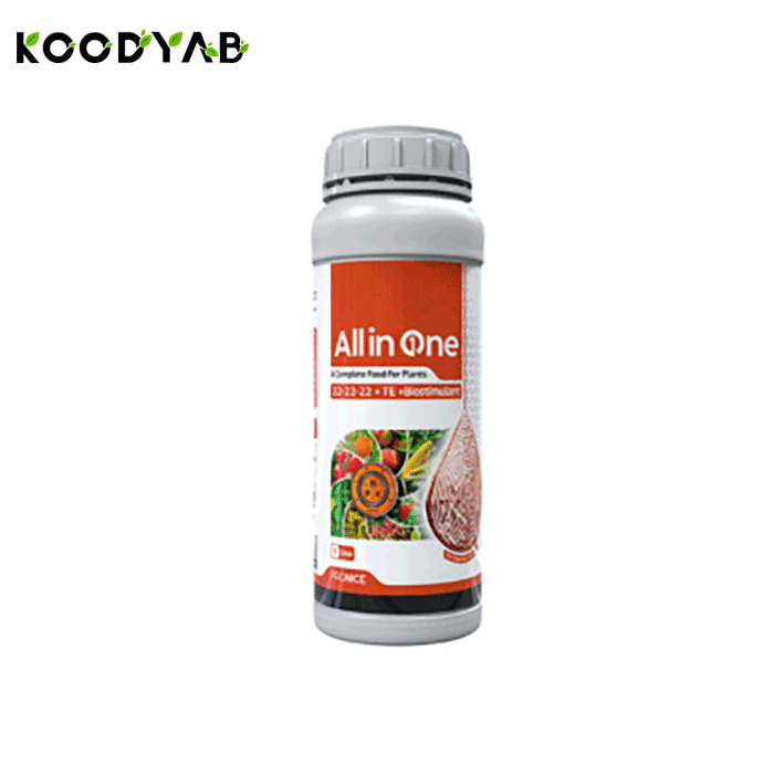 کود آل این وان پرونایس