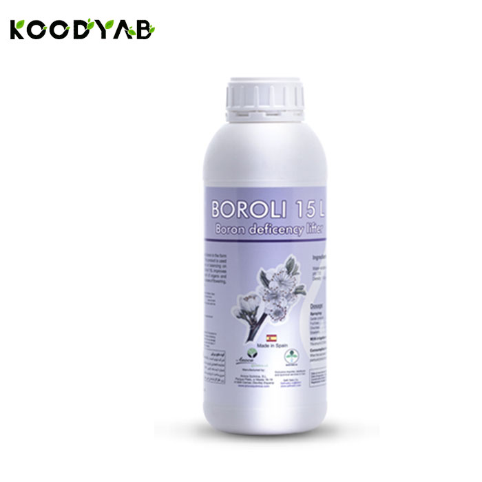 کود برولی آنوکا