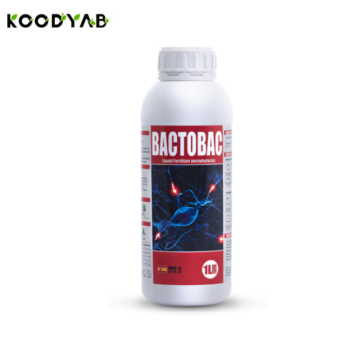 کود بک تو بک آنوکا