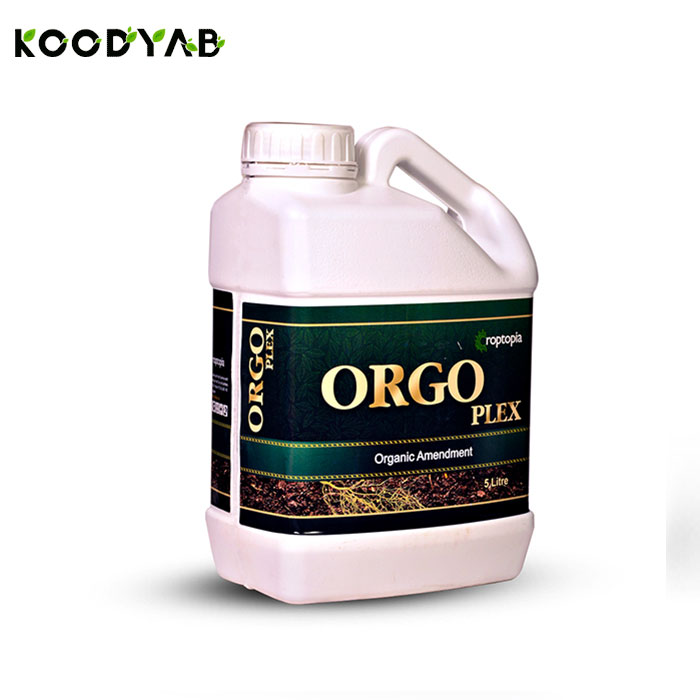 کود ارگو پلکس راپتوپیا