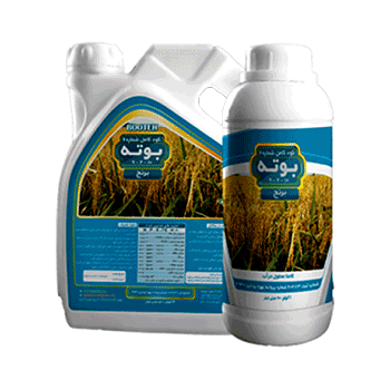 کود برنج  بوته