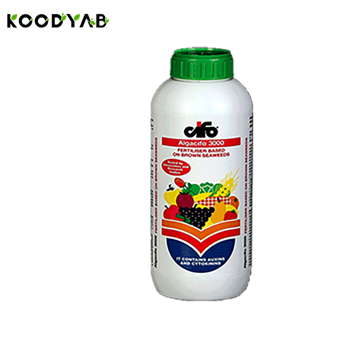 کود آلگاسیفو3000 سیفو