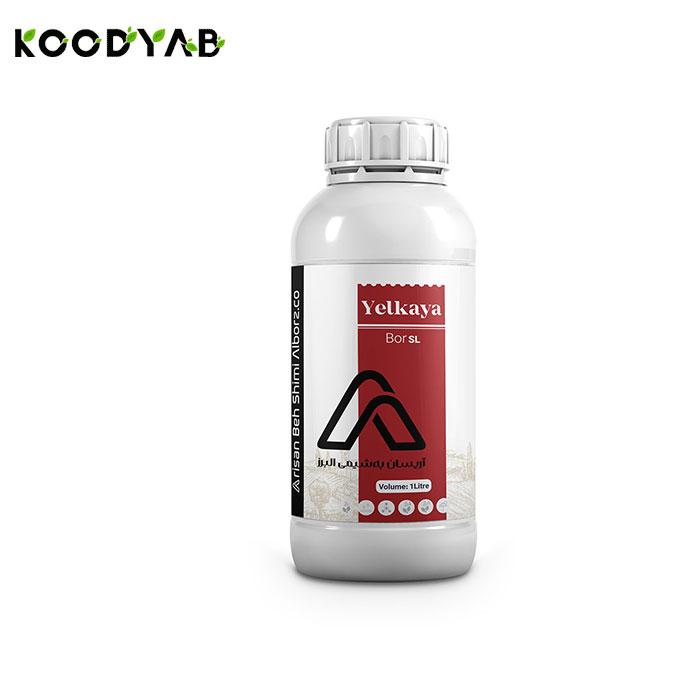 کود بور یلکایا