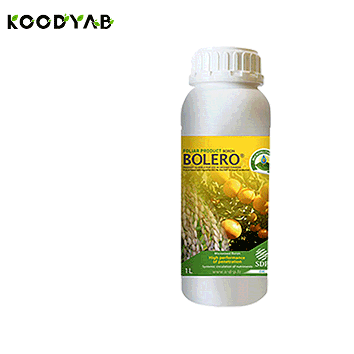 کود بولرو اس د پ