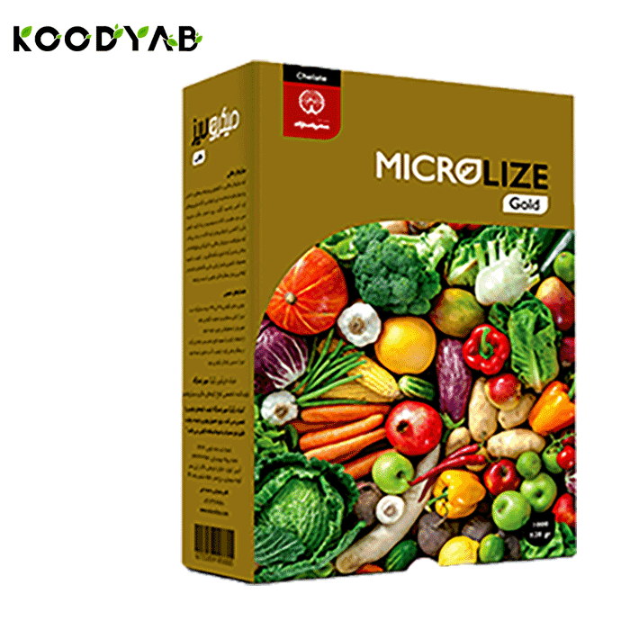 کود طلایی میکرولایز