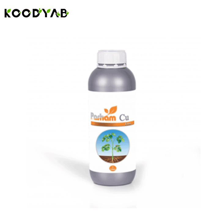 کود مس ۶ پرهام