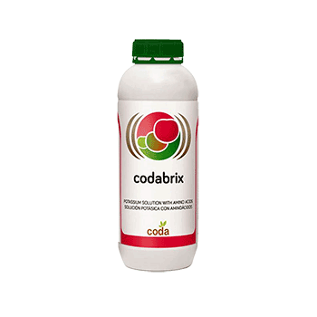 کود بریکس کدا