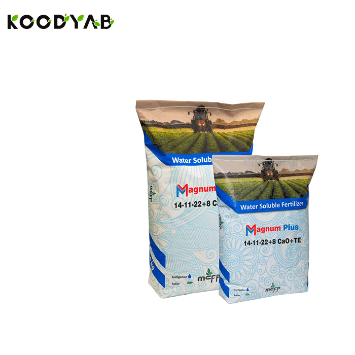 کود مگنوم پلاس ام سی اف پی