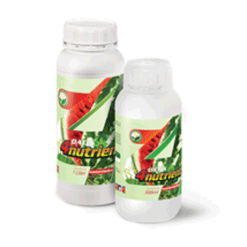 کود هندوانه داتیس