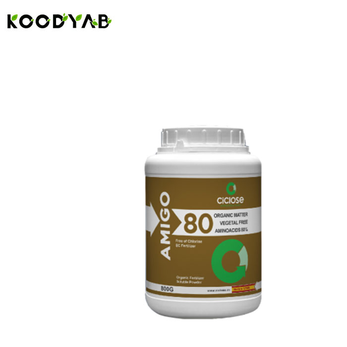 کود آمیگو سیکلوز