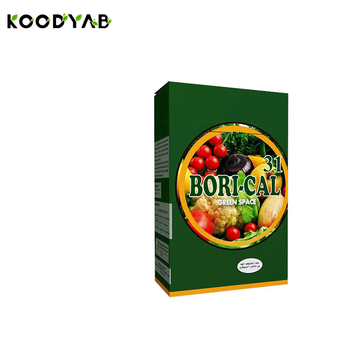 کود بر کلسیم 31 جی اس سی