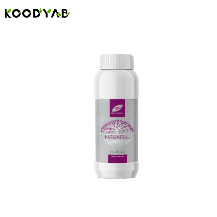 کود مگافـــول بن آسیا