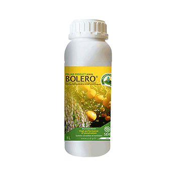 کود بولرو اس د پ