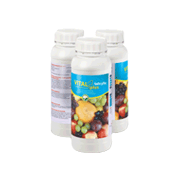 کود ویتاس پلاس سیلیسیم داتیس