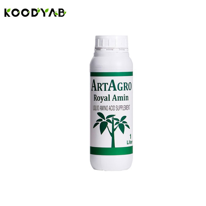 کود رویال آمین آرتاگرو