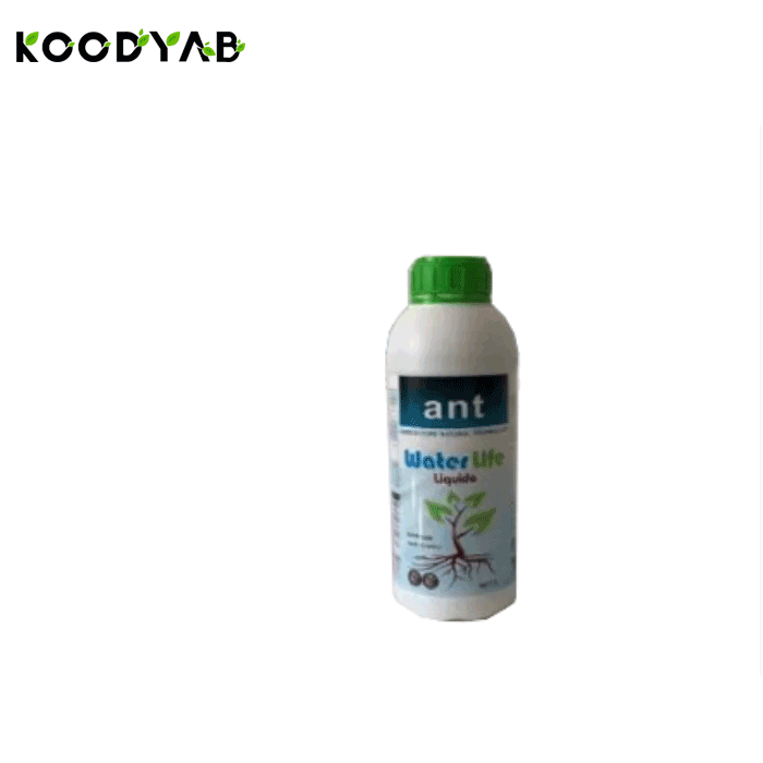 کود واترلایف اِی اِن تی