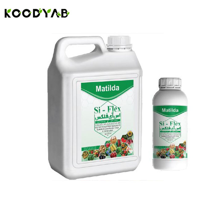 کود اس ای فلکس ماتیلدا