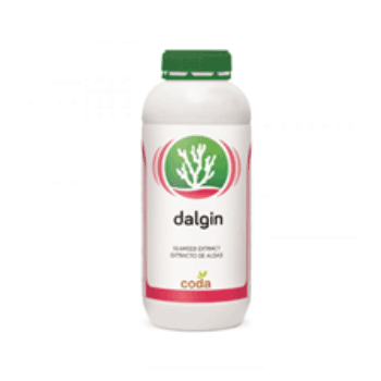 کود دالجین کدا