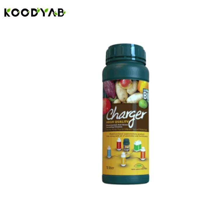 کود شارژر سوپرمکس