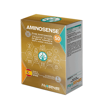 کود آمینوسنس فیتوسنس