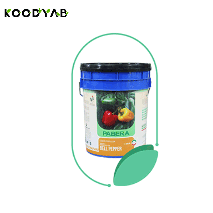 کود پابرا فلفل دلمه ترنم سبز زاینده رود