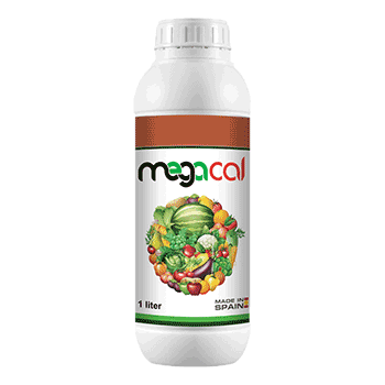 کود مگاکل مگاکراپ