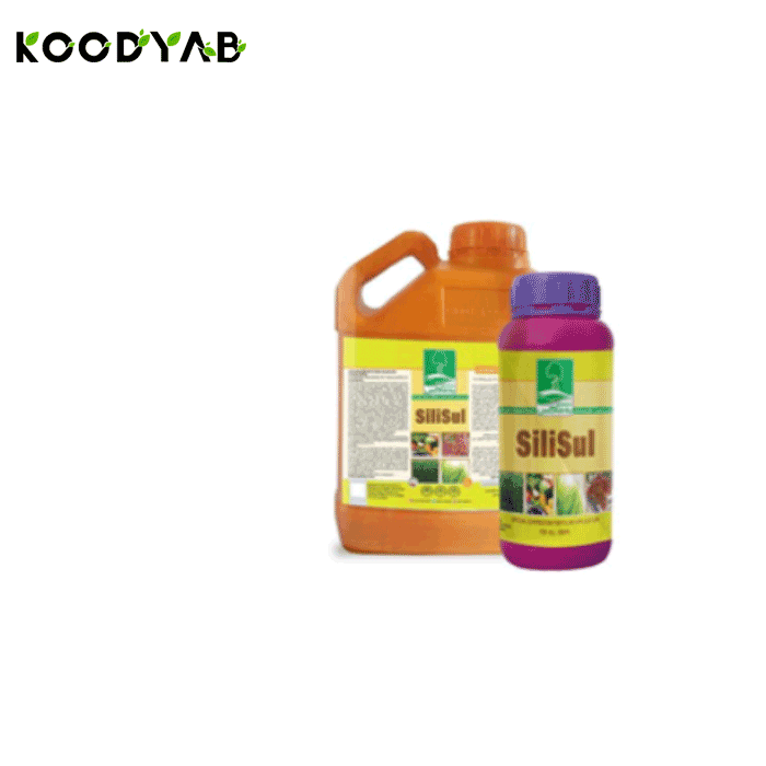 کود سیلیسول به ماکس