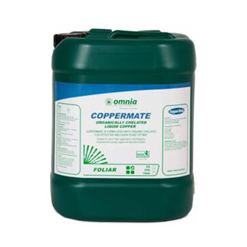 کود مس میت امنیا