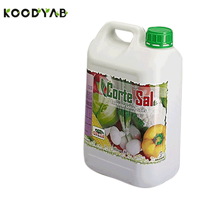 کود کورت سال کورتسا