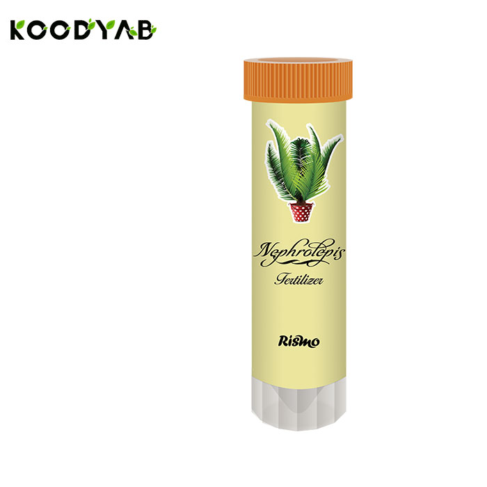 کود سرخس ریسمو