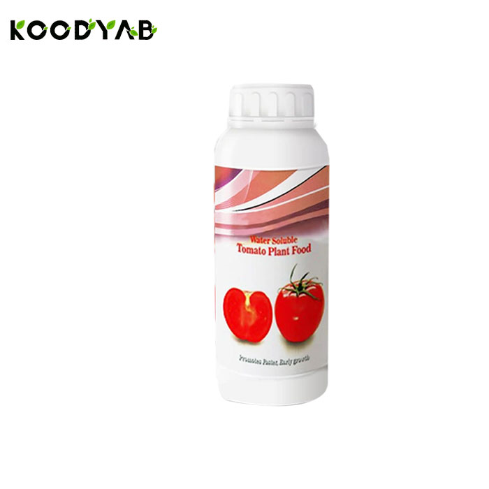 کود ویژه گوجه فرنگی رابو