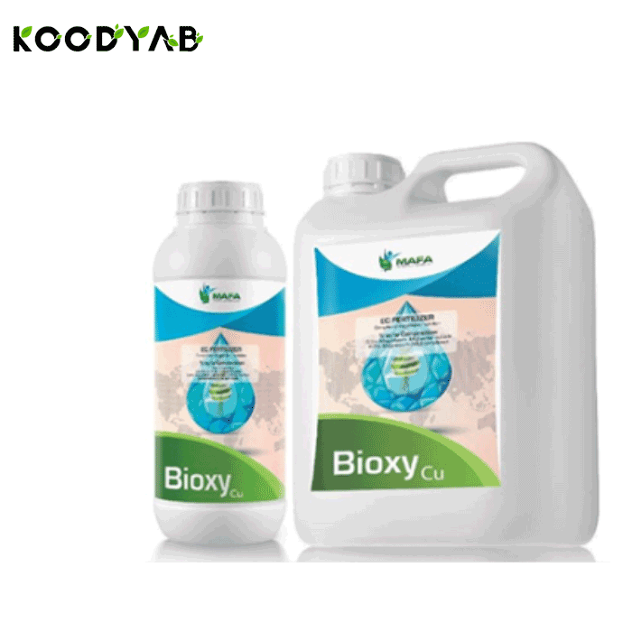 کود بیوکسی مس مافا