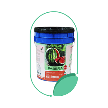 کود پابرا خیار ترنم سبز زاینده رود