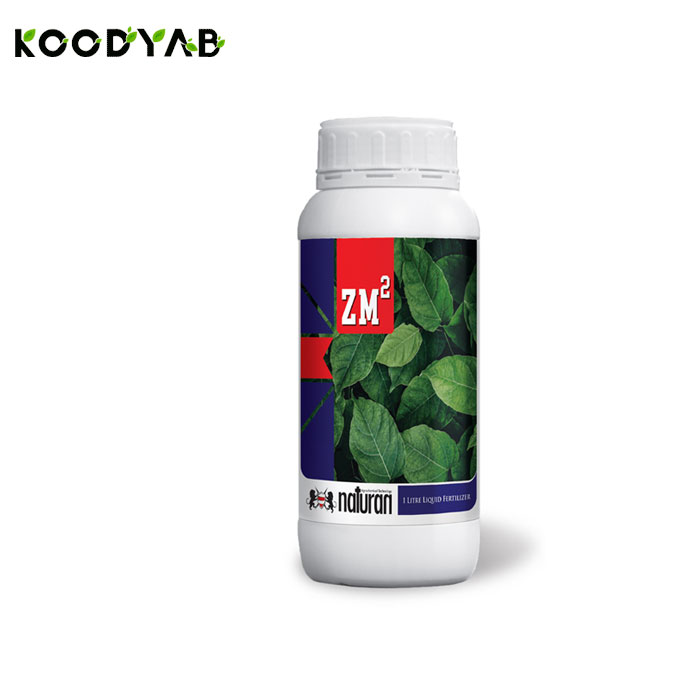 کود زد ام نیچران