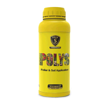 کود پلی اس ایکس گرین