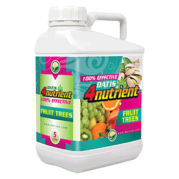 کود فورنوترینت فسفر بالا داتیس