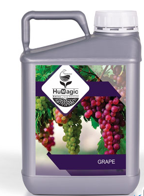 کود 5 لیتری هیومجیک انگور پرهام