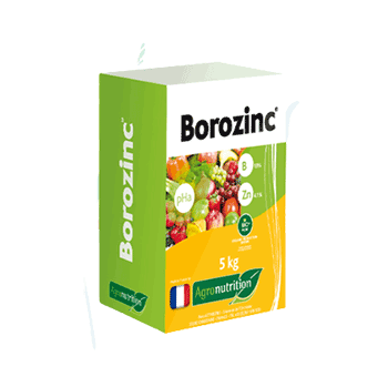 کود بروزینک اگرونوتریشن