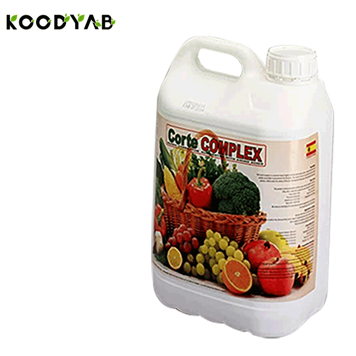 کود کورت کمپلکس کورتسا