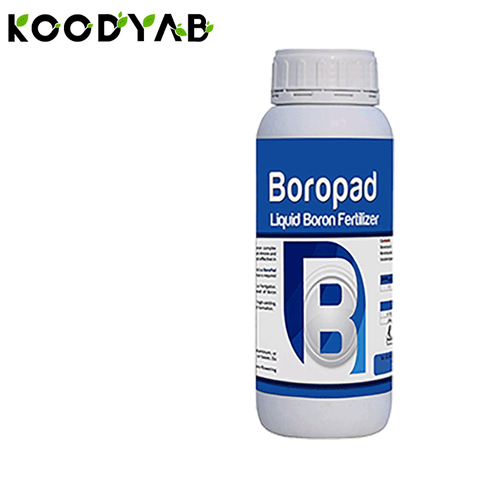 کود برو پاد پادنا