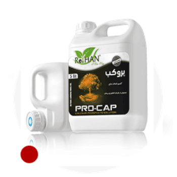 کود پروکپ ریحان