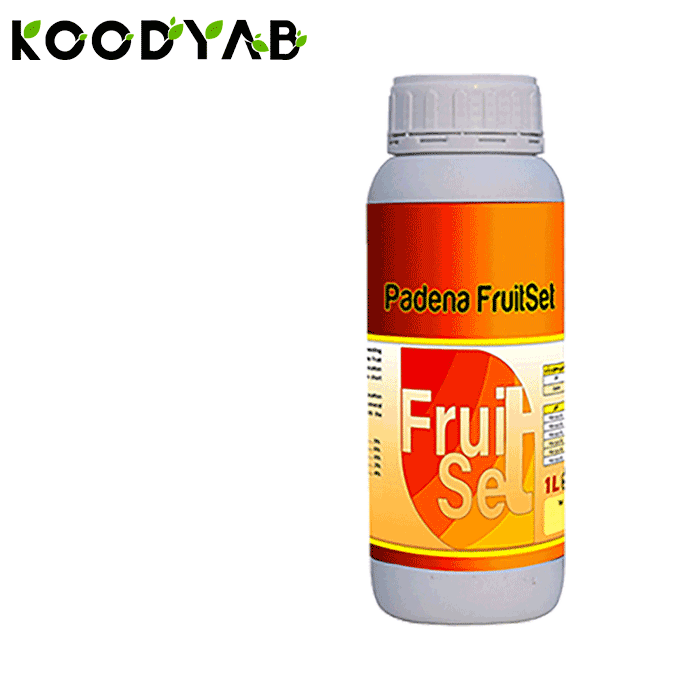 کود فروت ست پادنا