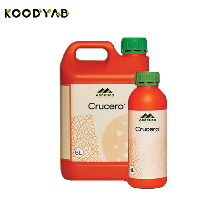 کود کروسرو آتلانتیکا