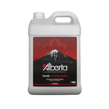 کود آلبرتا پرونایس